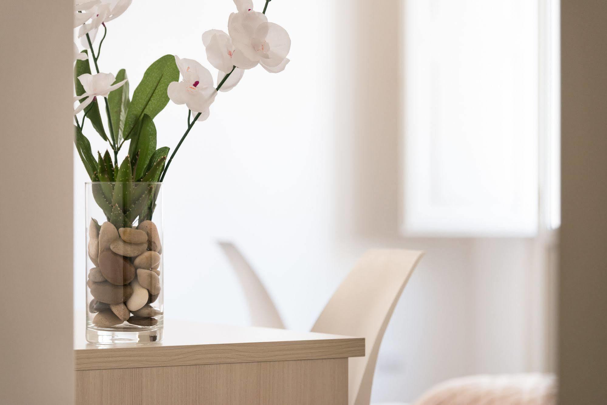Gatto Bianco La Dimora Storica Bed and Breakfast Λέτσε Εξωτερικό φωτογραφία